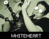 Whiteheart Best Of Music