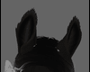 Domino Ears V3