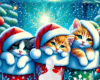Kittens in sock bg