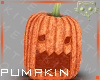 Pumpkin 2a Ⓚ