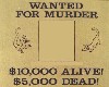 Blank Wanted poster
