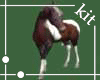 [kit]Animated Horse 4