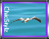 Paradise Animated Seagul