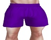 MY Purple Shorts