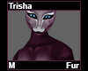 Trisha Fur M