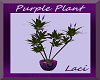~L~Purple/Green Plant~