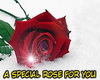 special for you