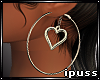 !iP Heart Hoops
