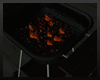 Hot Coal BBQ