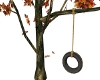 Autumn Tire Swing