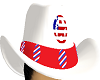 patriotic cowboiy hat