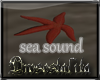 .:D:.Ocean Sound