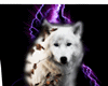 White wolf poster