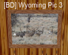 [BD] Wyoming Pic 3
