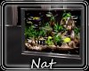 NT Beautiful Fish Tank