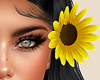 Hair Sunflower L