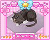 A•Kitty [Purple Bed]