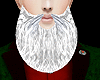 Large Santa Beard
