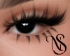 Shila Lashes