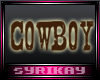 Cowboy/Cowgirl Filter