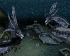 [la] Underwater Adventur