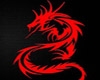 Shirt NAGA