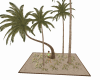 Palms Trees