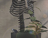 Plants Skeleton