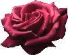 Sticker rose