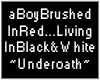 {M}Underoath:aBoyBrushed