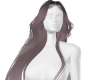 Long grey Hair
