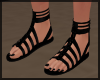 Black Sandals *