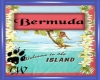 CW Bermuda Beach Towel