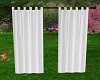 WHITE CURTAIN~2 SIDED~