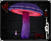 !ML Magic Mushroom Magic