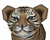 ML! Animated Baby Tiger