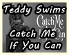 Catch Me If You Can