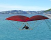 Flying Hang Glider