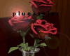 Rose Vase