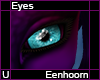 Eenhoorn Eyes