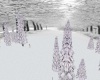 Snow Christmas Park