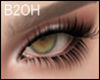 B2: Eyes I