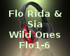 Flo Rida&Sia Wild Ones 1