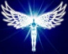 angel wing silver earing