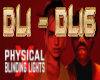 C- Physical x Blinding L