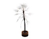 DJ MARSH PLANT 3