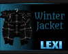 Winter JAcket v2