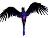Black & purple wings