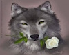 tableau loup