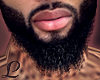 🎀  Beard Ghetto